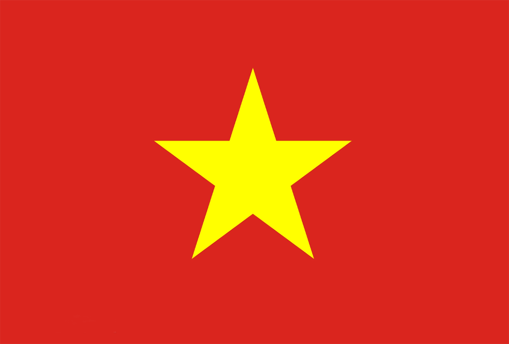 Vietnamese Language