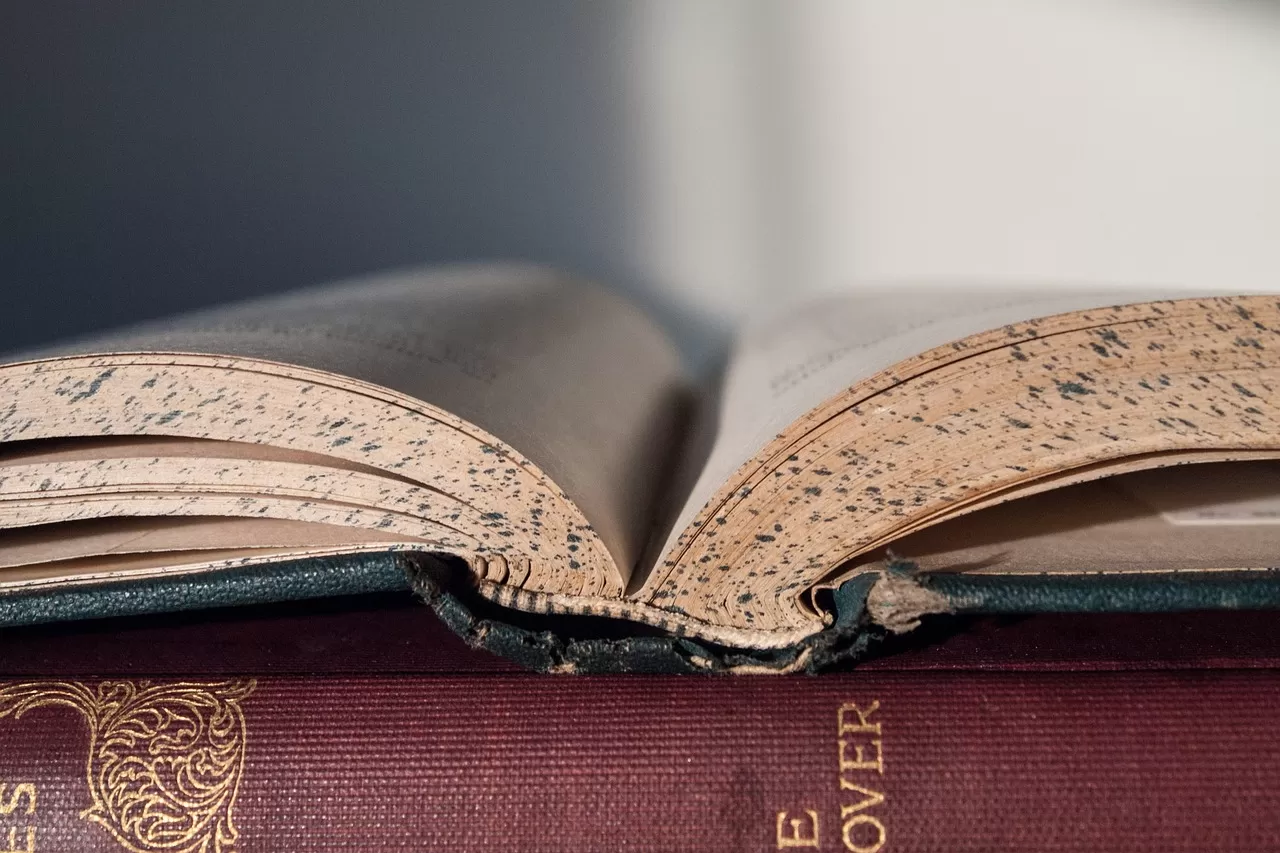 Six Key Considerations for Academic Paper Translation