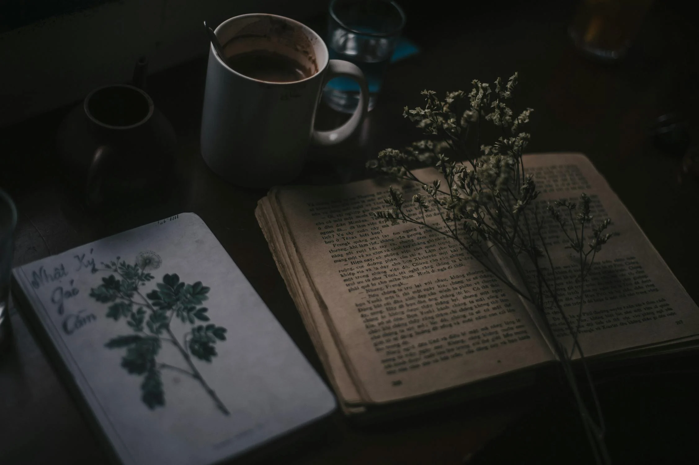 Authentic Spanish Literary Translation: Unlocking the Wonder of Spanish Literature