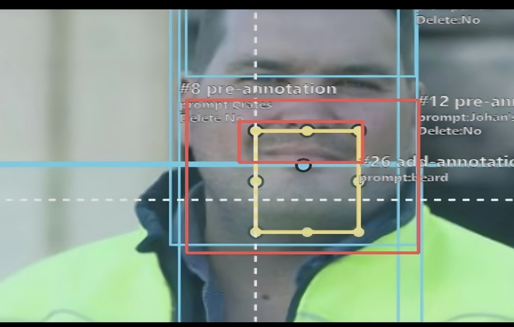 2D Image Bounding Box Annotation (Including Pre-Annotated Box Inspection + Multi-Type Supplementary Boxes)(图2)